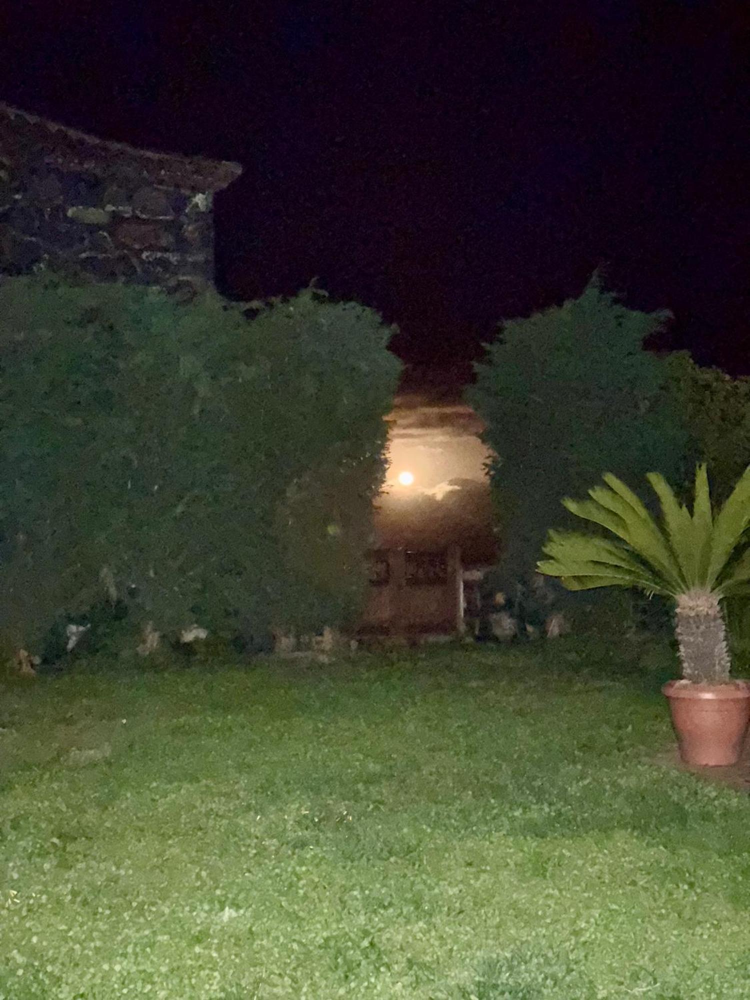 Casa Rural Quinta Los Naranjos Tigalate Extérieur photo